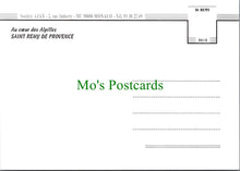 Load image into Gallery viewer, France Postcard - Le Cloitre St Paul, St Remy De Provence RR15875