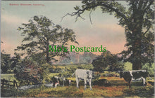Load image into Gallery viewer, Northamptonshire Postcard - Kettering, Warkton Meadows DC1263