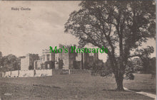 Load image into Gallery viewer, Co Durham Postcard - Raby Castle DC1221