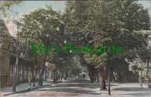 Load image into Gallery viewer, Gloucestershire Postcard - Cheltenham Promenade SW11944