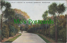Load image into Gallery viewer, Cornwall Postcard - Penzance, Palm Avenue in Morrab Gardens SW11945