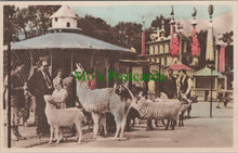 Load image into Gallery viewer, London Postcard - The News Chronicle Children's Zoo RT337