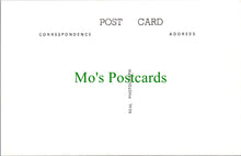 Load image into Gallery viewer, Isle of Wight Postcard - Old Shanklin, The Green c1908 - SW13529