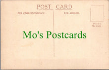 Load image into Gallery viewer, Cornwall Postcard - Seagulls Hunger March, St Ives SW12029