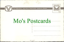 Load image into Gallery viewer, Devon Postcard - The Cliff Railway, Lynton and Lynmouth SW12046