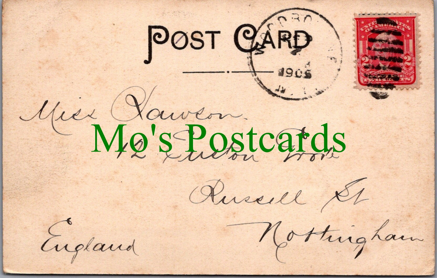 America Postcard - West End of Liberty, New York SW12071