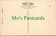 Load image into Gallery viewer, Yorkshire Postcard - Scarborough Open Air Theatre SW12075