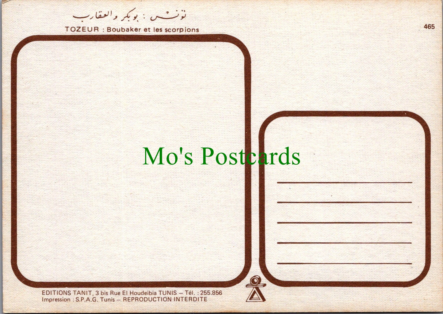 Animals Postcard - Scorpions -Tozeur: Boubaker Et Les Scorpions SW11438