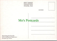 Load image into Gallery viewer, Animals Postcard - Dogs, Devon and Somerset Staghounds SW11457