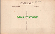 Load image into Gallery viewer, Devon Postcard - Brixham, Berry Head Lighthouse DC2541