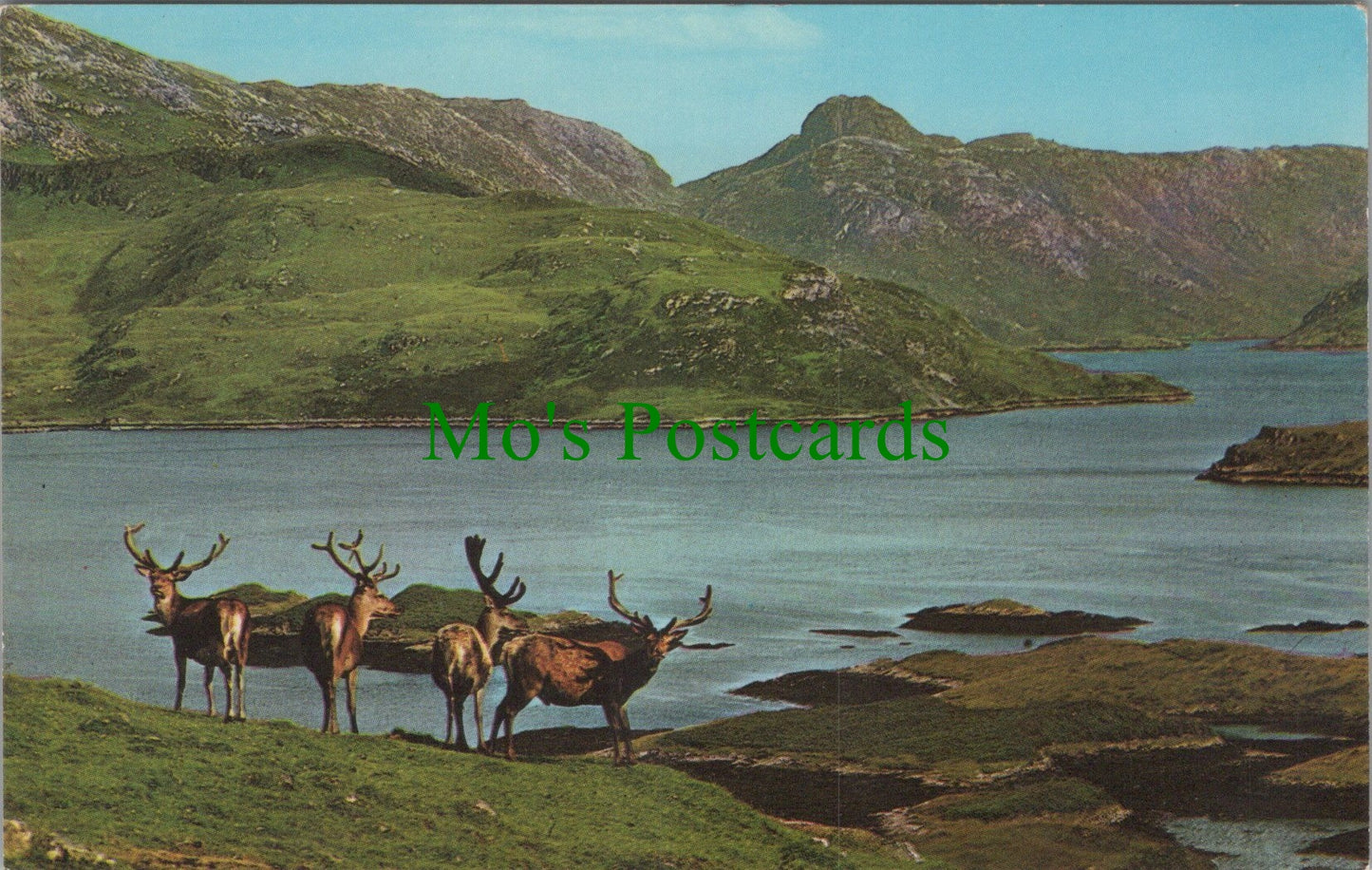 Animals Postcard - Royal Stag in Velvet, Scottish Highlands DC2445