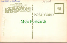 Load image into Gallery viewer, Animals Postcard - White Tiger, Washington Zoo DC2448