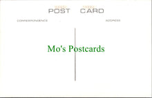 Load image into Gallery viewer, London Postcard - Old Highgate, Gate House Inn, Swearing on The Horns SW11633