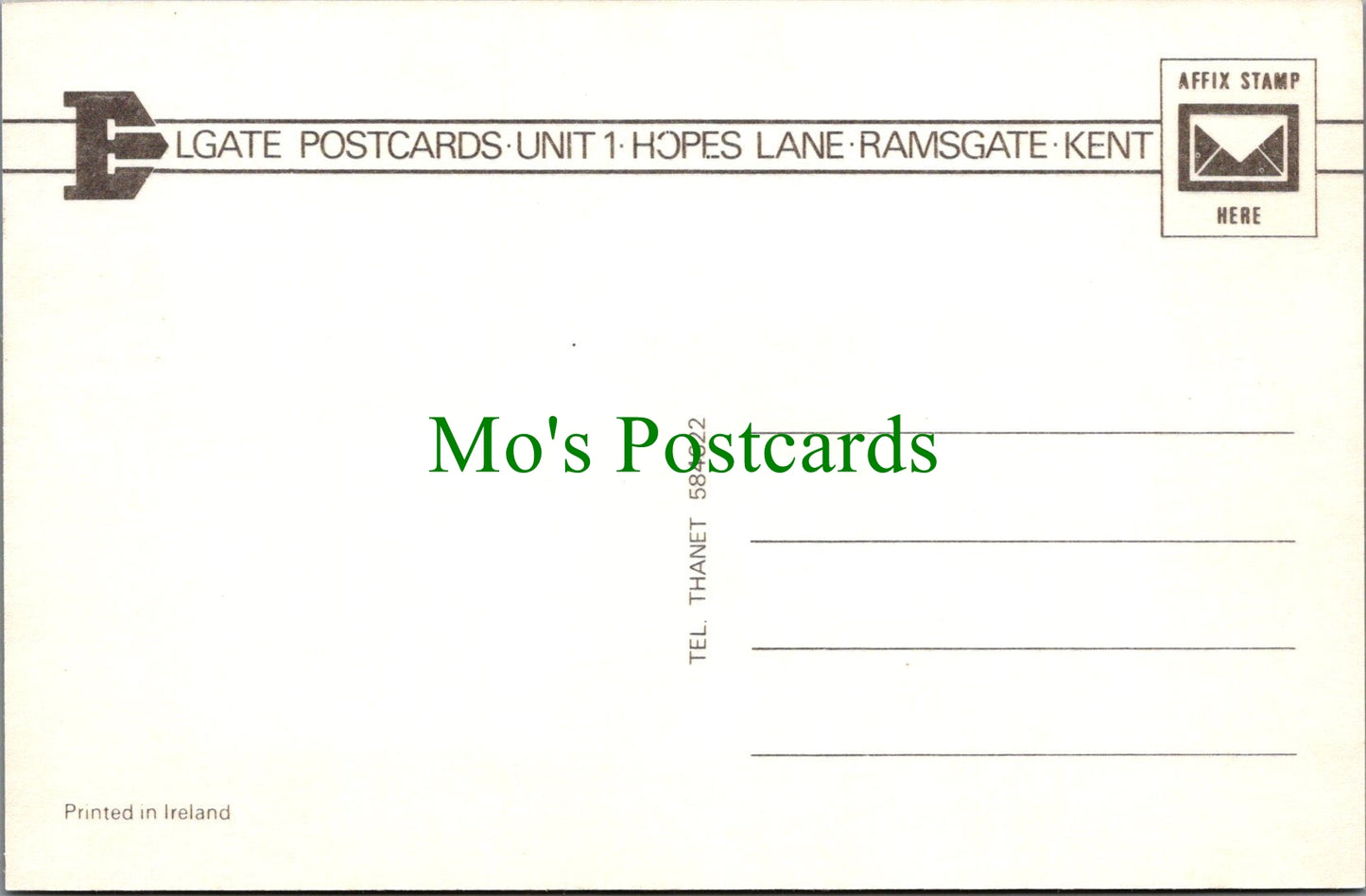 Animals Postcard - Horse and Foal Grazing SW11753