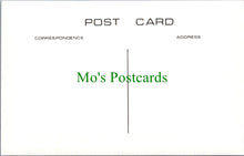 Load image into Gallery viewer, Isle of Wight Postcard - Old Ryde Pier and Electric Railway Terminal SW14546