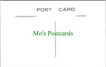 Load image into Gallery viewer, Isle of Wight Postcard - Brading Church c1870 - SW14833