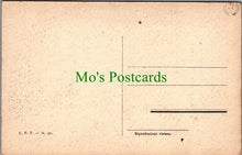 Load image into Gallery viewer, Art Postcard - Andrea Del Sarto, Testa Di Giovane Donna SW11771