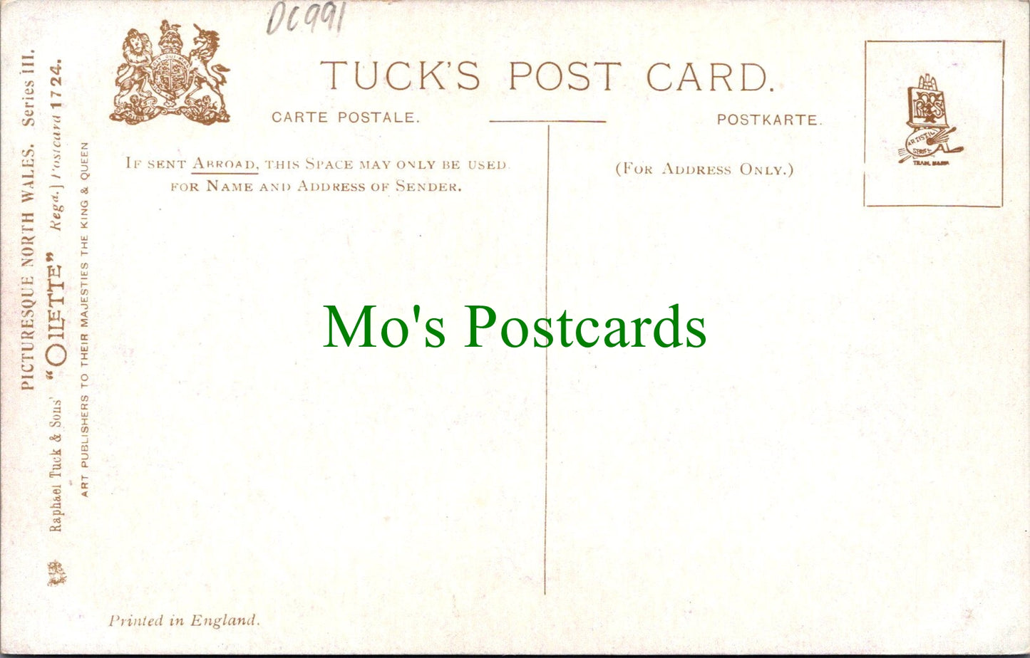 Wales Postcard - Artist View of Pont-Y-Pair, Betws-Y-Coed DC991