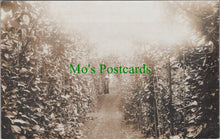 Load image into Gallery viewer, Religion Postcard - Nun Standing Amongst Plants DC1016