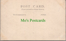 Load image into Gallery viewer, Animals Postcard - Five Cute Dogs on a Wall SW13061