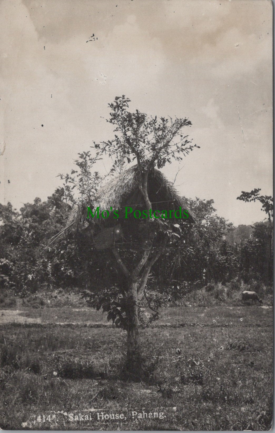 Malaysia Postcard - Sakai House, Pahang SW13008