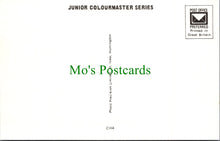 Load image into Gallery viewer, Toys Postcard - Children's Nursery Rhymes & Fairy Tales SW11510