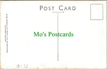 Load image into Gallery viewer, Devon Postcard - Clovelly High Street DC1561