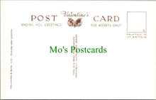 Load image into Gallery viewer, London Postcard - Battersea, The Showboat, Festival Pleasure Gardens SW13189