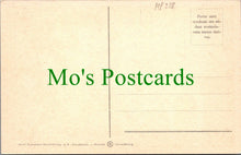 Load image into Gallery viewer, Children's Art Postcard - Cute Cartoon Animals, Artist Simon HP228