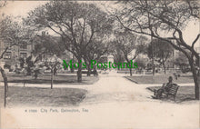 Load image into Gallery viewer, America Postcard - City Park, Galveston, Texas DC2563