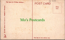 Load image into Gallery viewer, Bristol Postcard - The Promenade, Bristol DC2586