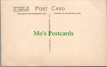 Load image into Gallery viewer, Northumberland Postcard - Alnwick Castle From Meadows SW12458