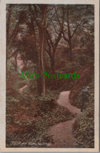 Load image into Gallery viewer, Sussex Postcard - Fairlight Glen, Hastings SW11055