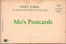 Load image into Gallery viewer, South Africa Postcard - Ostriches With Chickens SW11109