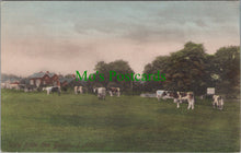Load image into Gallery viewer, Hampshire Postcard - Lyndhurst, View From The Bench HP94