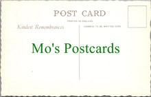 Load image into Gallery viewer, Devon Postcard - Brixham, William III Memorial SW12506