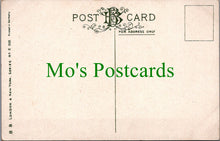 Load image into Gallery viewer, Animals Postcard - Dog With Ducklings SW12530