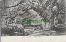 Load image into Gallery viewer, Hampshire Postcard - Oak in Queen Bower Wood, New Forest DC968