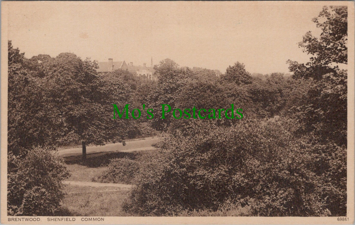 Essex Postcard - Brentwood, Shenfield Common DC935