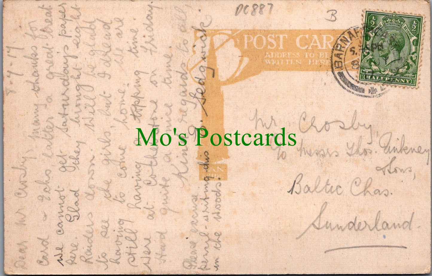 Co Durham Postcard - Views of Cotherstone DC887