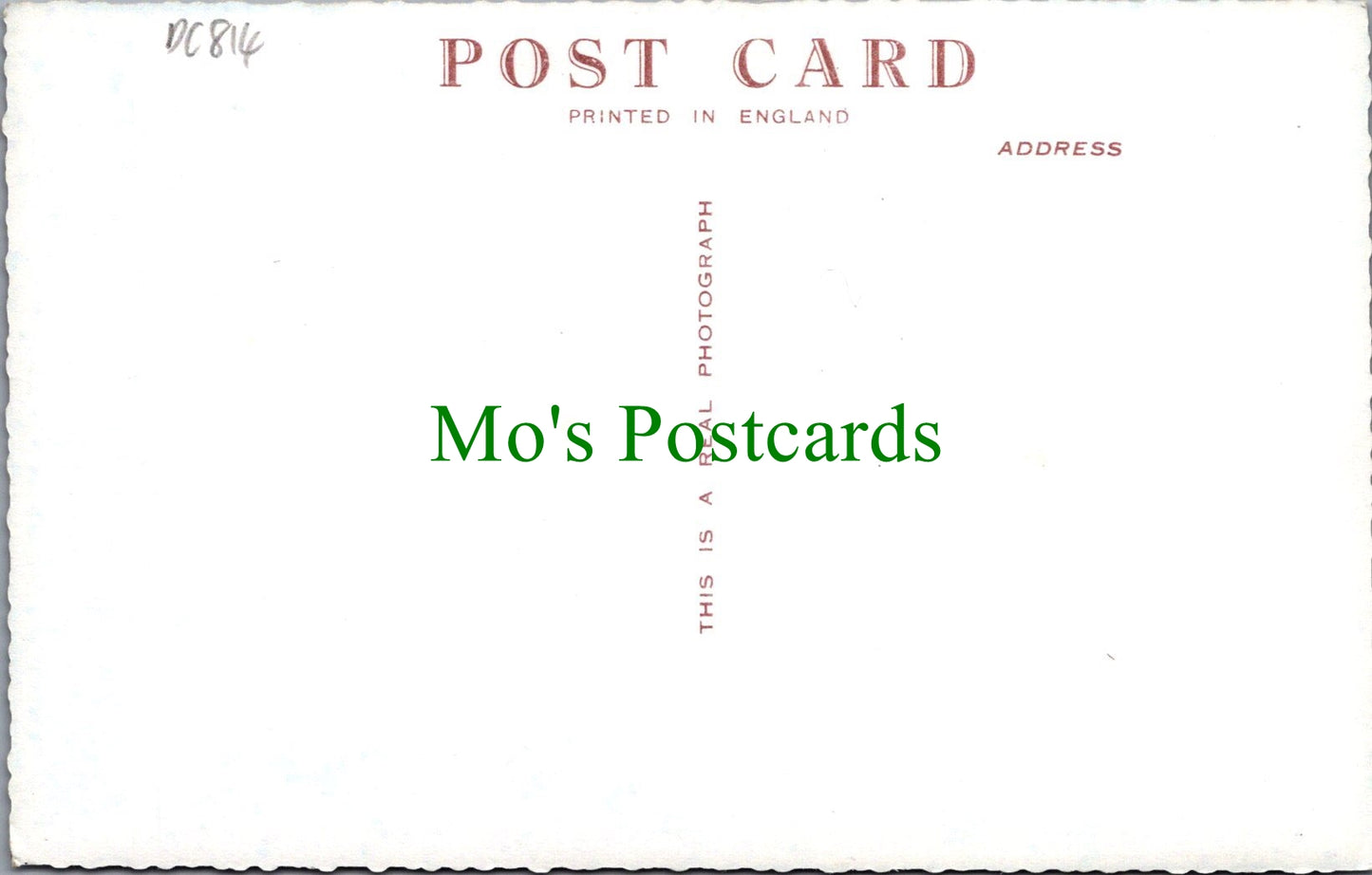 Sussex Postcard - Thinking of You at Seaford DC814