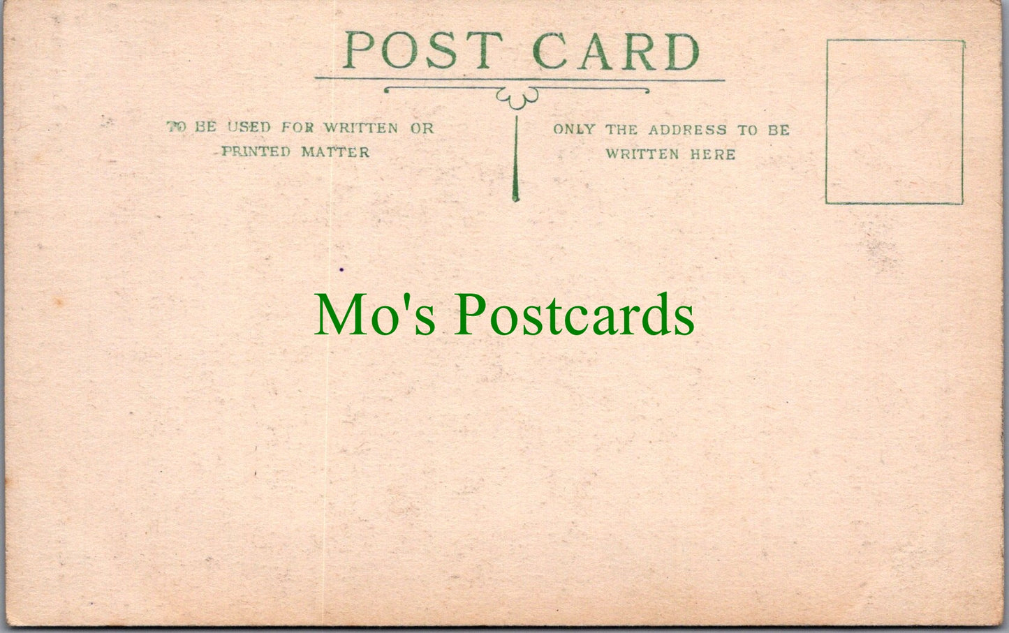 Hampshire Postcard - Heads of Two Fallow Deer, The New Forest SW11226