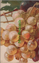 Load image into Gallery viewer, Nature Postcard - Fruit Art - Grapes, Artist Catharina Klein SW11560