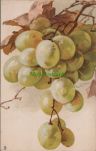 Load image into Gallery viewer, Nature Postcard - Fruit Art - Grapes, Artist Catharina Klein SW11561