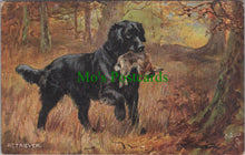 Load image into Gallery viewer, Animals Postcard - Dog Art, Sporting Dogs - The Retriever SW11564