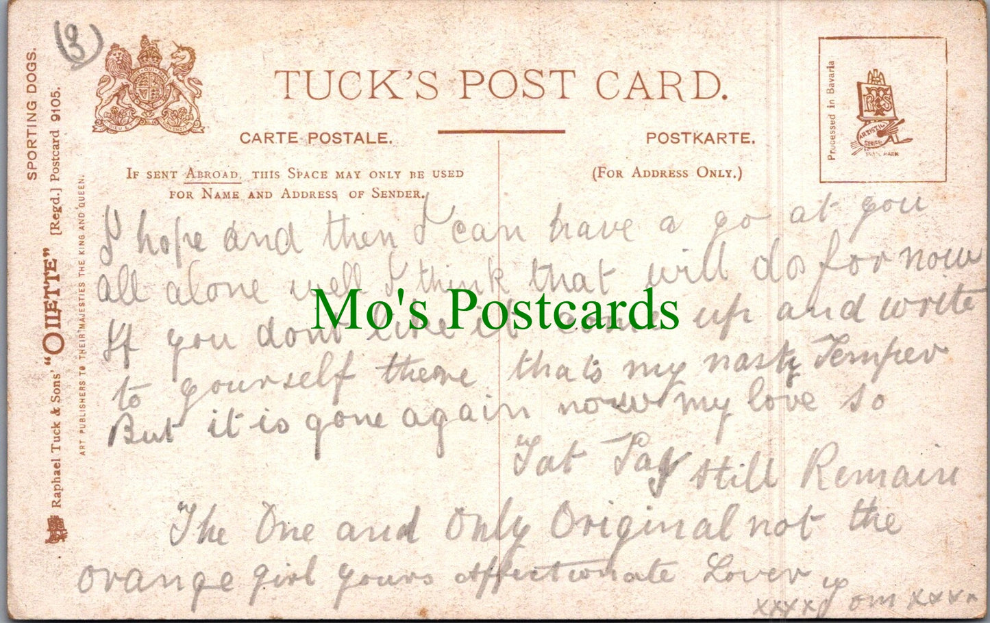 Animals Postcard - Dog Art, Sporting Dogs - Setters SW11565