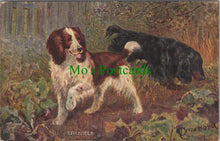 Load image into Gallery viewer, Animals Postcard - Dog Art, Sporting Dogs - Spaniels SW11566
