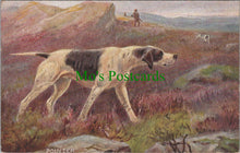 Load image into Gallery viewer, Animals Postcard - Dog Art, Sporting Dogs - The Pointer SW11570
