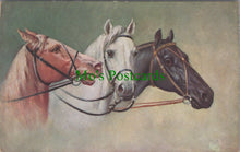 Load image into Gallery viewer, Animals Postcard - Horse Art, Brown, White and Black Horses SW11572