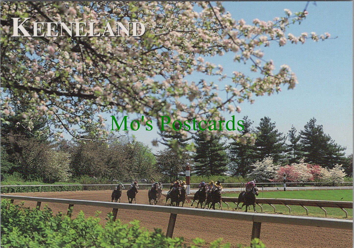 America Postcard - Keeneland Race Course, Lexington, Kentucky SW11973